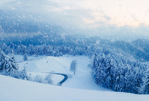 1691726663549424.png image.png