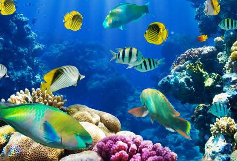 1691729152637424.png image.png