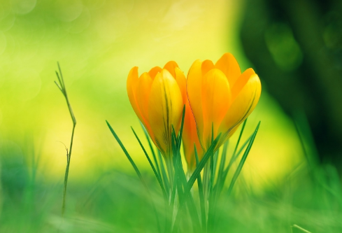 1691731142313144.png image.png