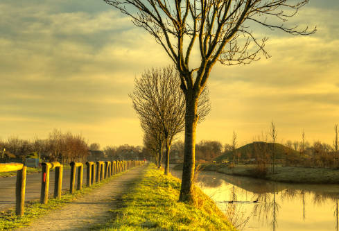 1691731474496610.png image.png