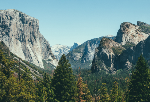 1691734295712795.png image.png