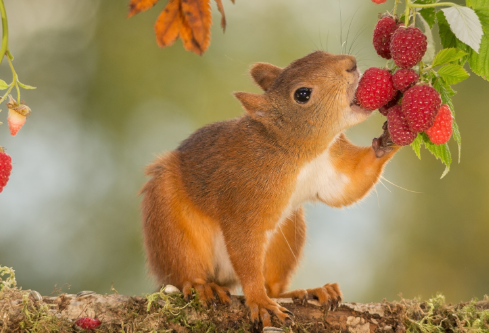 1691735125305716.png image.png