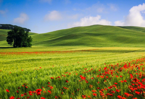 1691735291332056.png image.png