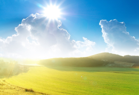 1691736452498825.png image.png