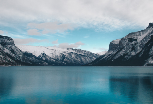 1691737613534599.png image.png