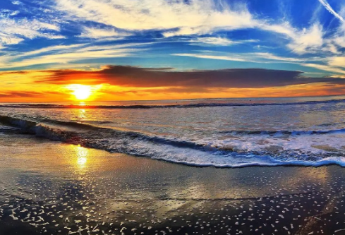 1691738940839579.png image.png