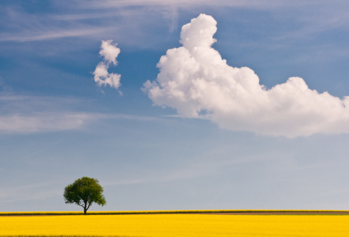 1691739106629138.png image.png