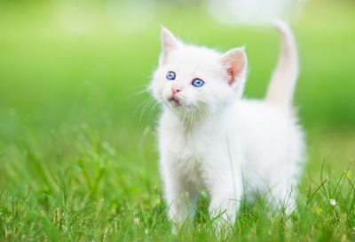 ​方字取一个特别的网名(共68个)