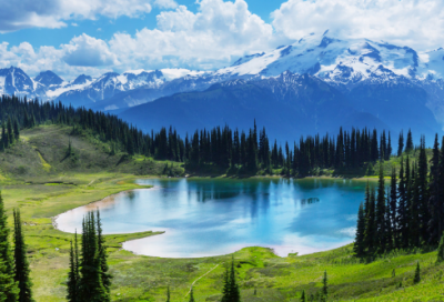 ​不正经的网名搞笑的(62个)