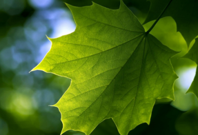 ​静心的有深意的网名(共68个)