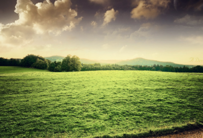 ​以王字为名的网名(精选68个)