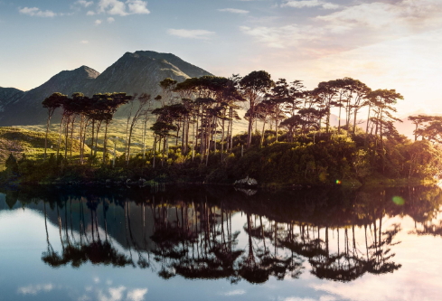 1691747567680702.png image.png