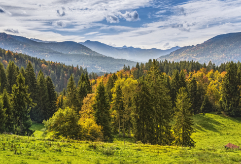 1691749558281464.png image.png