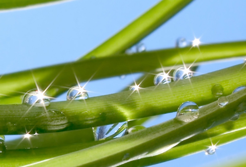 1691750720213734.png image.png