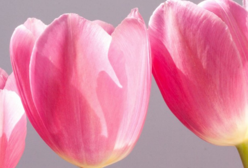 1691750886652123.png image.png