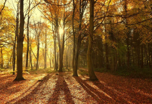 1691908046239159.png image.png