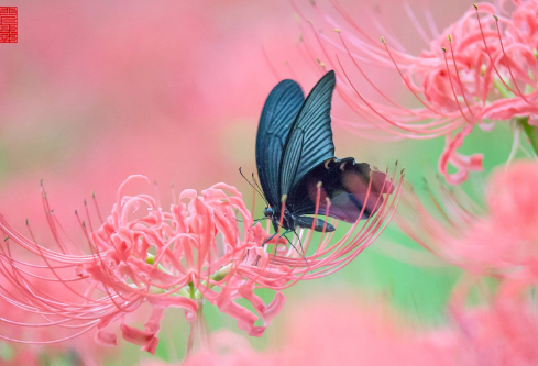 1691908378663798.png image.png