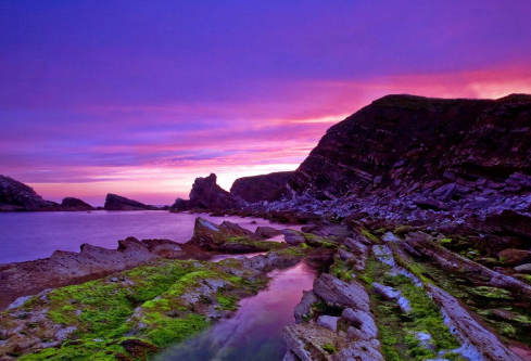 1691910715855753.png image.png