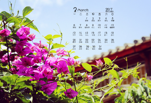 1691911048145764.png image.png