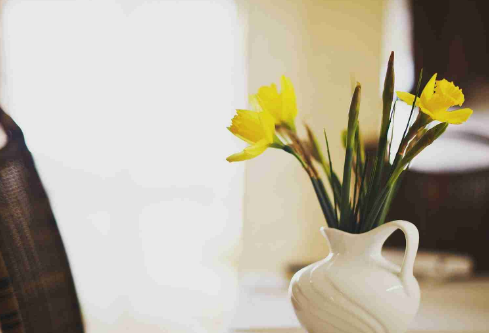 1691911877140941.png image.png