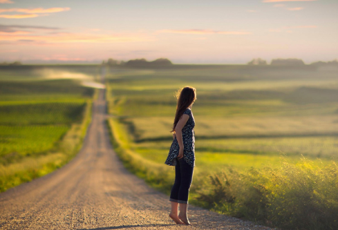 1691912542351921.png image.png