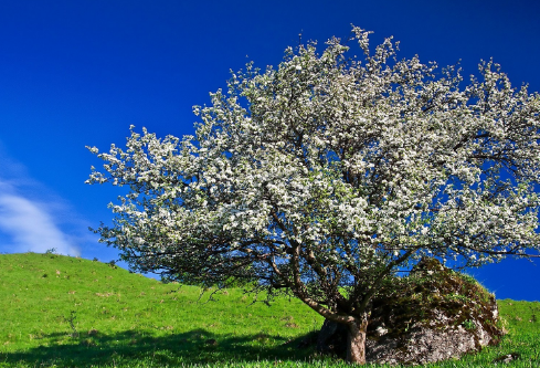 1691913040368970.png image.png