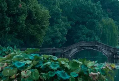 1691913372629840.png image.png