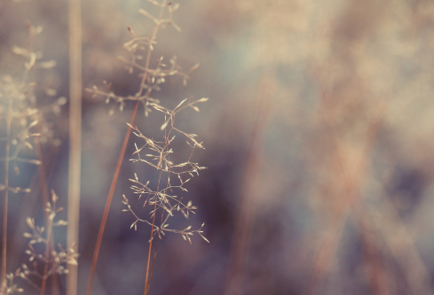 1691914036646205.png image.png