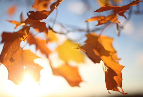 1691914368743983.png image.png