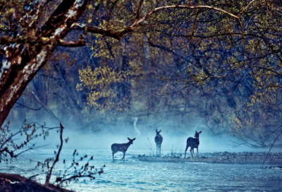 ​激励鼓励员工的话【汇总322句】