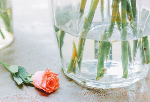 1691915366986071.png image.png