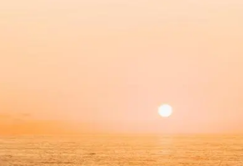 1691916362983314.png image.png