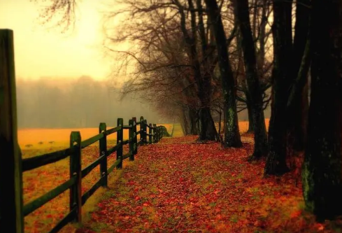 1691916528563757.png image.png