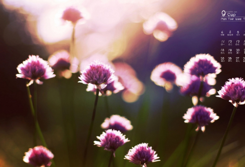 1691917026936208.png image.png