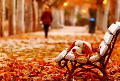 ​考试前鼓励孩子的话语【推荐302句】