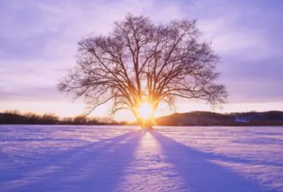 ​爱过就值得的语录(热门207句)