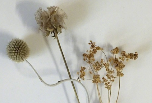 1691920706993684.png image.png