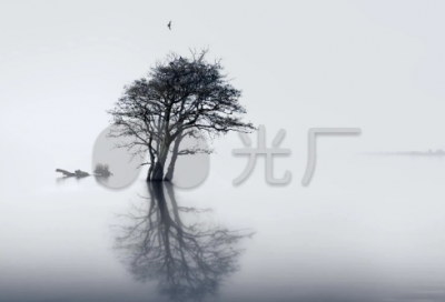 ​关于教师节的话简短(汇总165句)