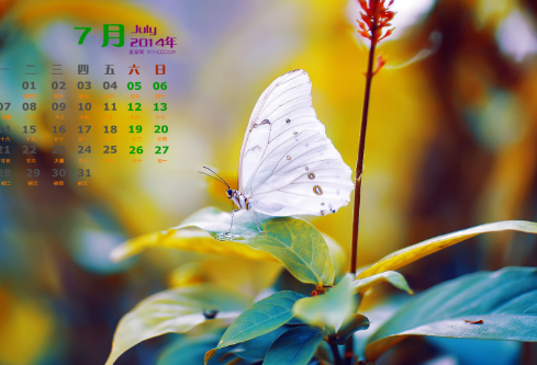 1691922367394409.png image.png