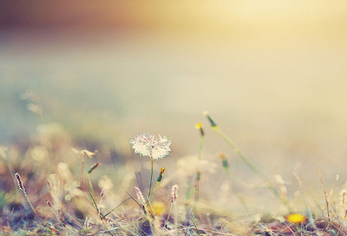 1691924360771249.png image.png