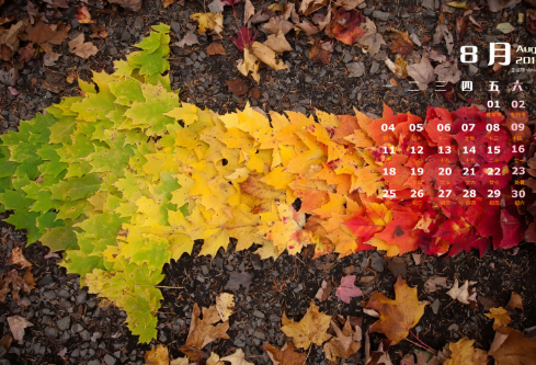 1691924526473583.png image.png