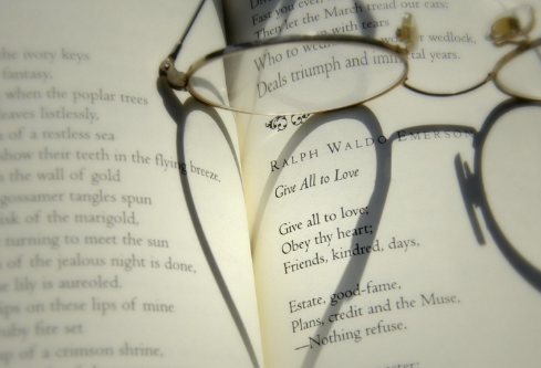 1691925025357168.png image.png