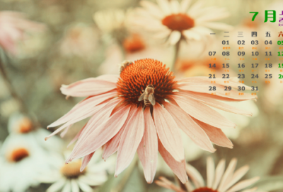 ​写给语文老师寄语8字(汇总136句)