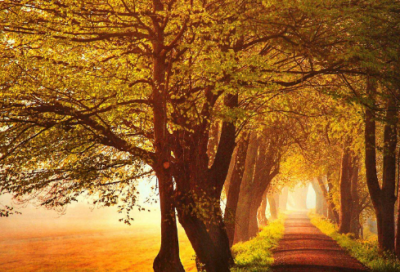 ​描写人物心情的成语200个