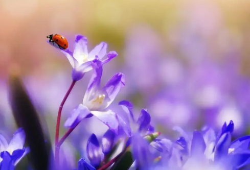 1691927681582470.png image.png