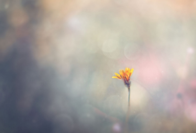 ​对幼儿园对老师的话(共107句)