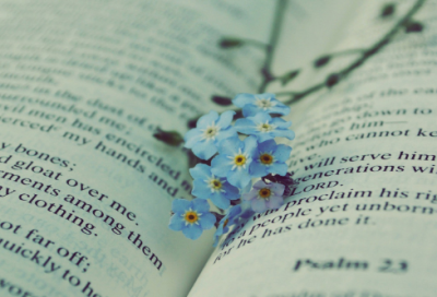 ​魔兽世界的座右铭【汇总200句】