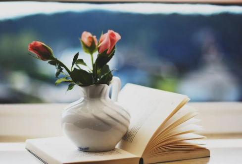 1691930339560727.png image.png