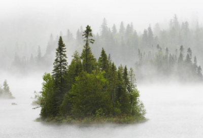 ​著名作文200字摘抄(共59句)