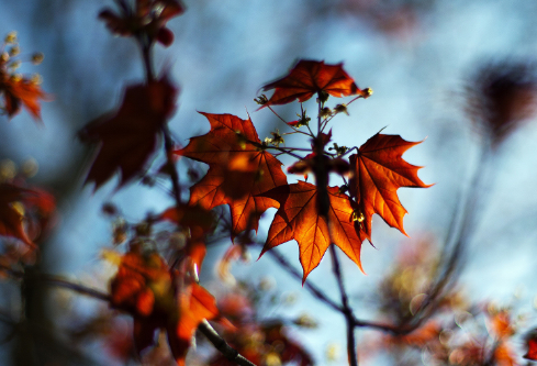 1691931503308137.png image.png